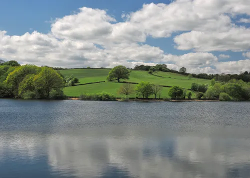 Oak tree in fields, clouds reflected in lake This landscape photograph captures a picturesque scene in Derbyshire, England, United Kingdom, taken during the early afternoon in the spring season. The main subject of the image is a prominent oak tree located in lush, green fields that gently slope upward, surrounded by vibrant vegetation characteristic of springtime. The water of the lake in the foreground provides a reflective surface, beautifully mirroring the white clouds scattered across the sky above. The composition showcases the tranquil relationship between the clouds and the lake water, emphasising the natural beauty of Derbyshire in the United Kingdom.